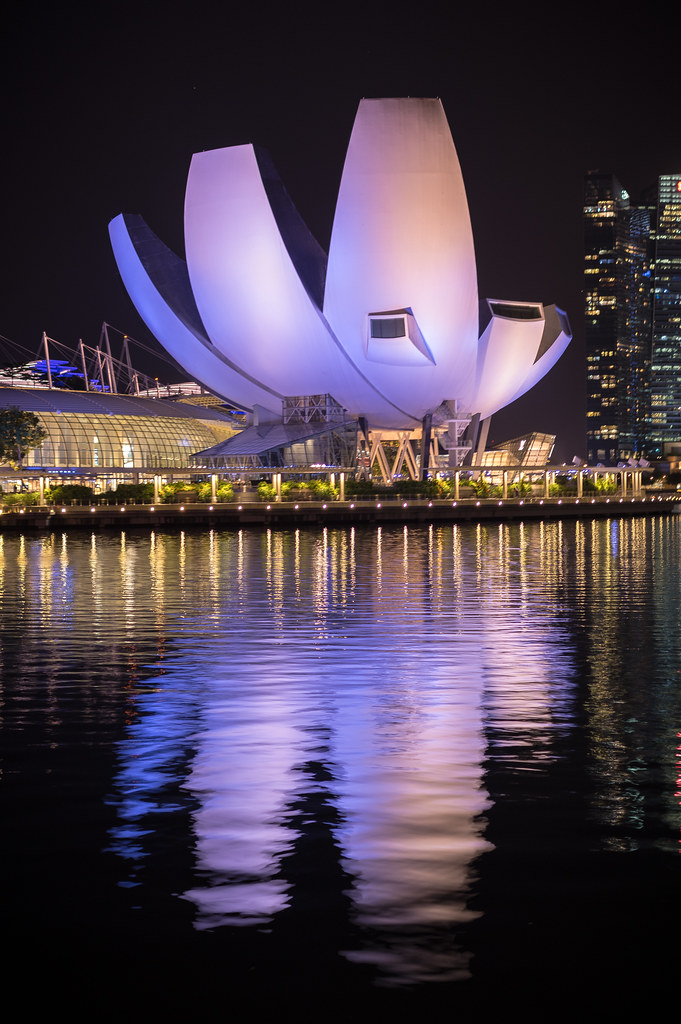 ArtScience Museum at night reflection on water